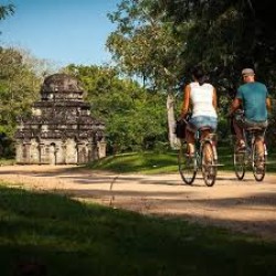 Guided Moderate Cycling Tour in Munnar 